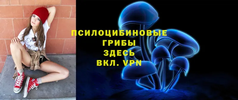 darknet формула  Всеволожск  Галлюциногенные грибы мухоморы 